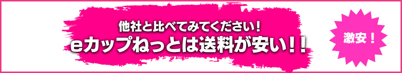 送料が安い！